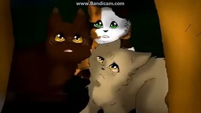 Коты Воители - Это лето как осень... смотреть онлайн