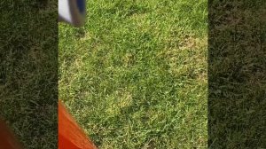 Decathlon ITIWIT Tribord 3 Person Kayak