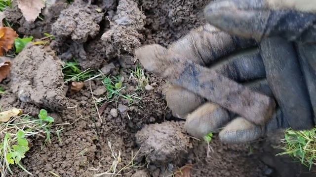 Minelab Equinox 800: Park 2 Digging Questionable Targets With The Coiltek 10x5 Search Coil.
