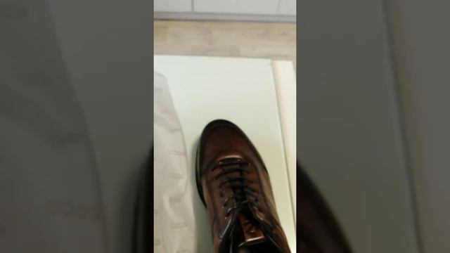Распаковка туфли ЭККО смотреть онлайн