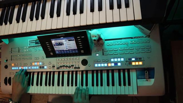 Beverly Hills Cop Main Theme - Axel F, Piano Cover смотреть онлайн