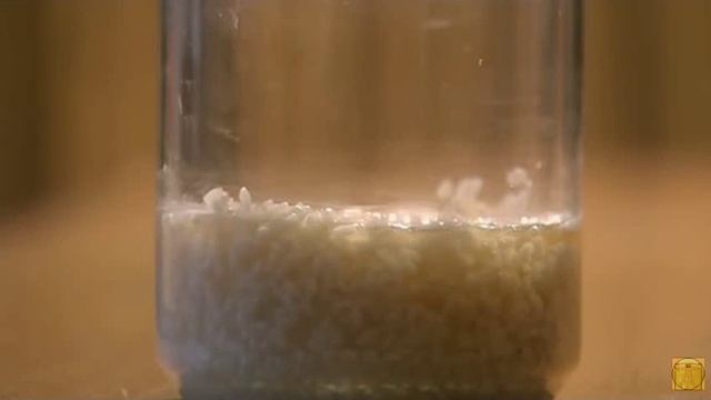 Эксперимент с водой и рисом доктора Эмото Масару. смотреть онлайн