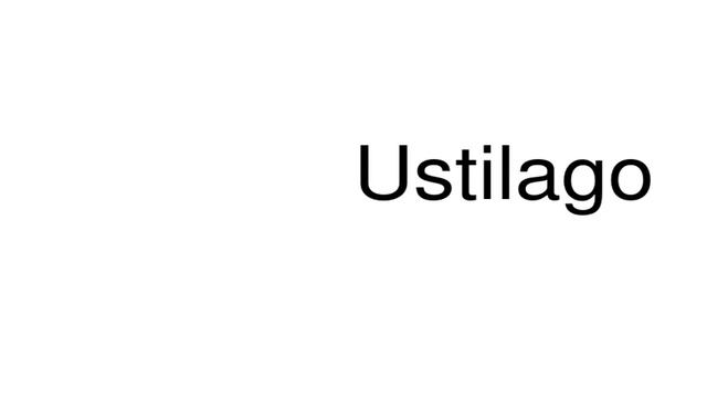 How to pronounce Ustilago смотреть онлайн
