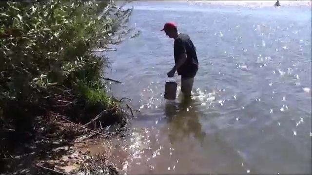 Пущино Ока Раки Природа Отдых смотреть онлайн