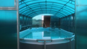 Бассейн каркасный на даче под навесом теплица. Лайфхак не дорогой теплый и чистый бассейн.