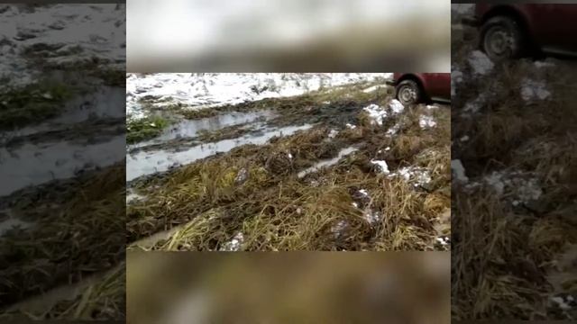 Cordiant Off Road 205/70