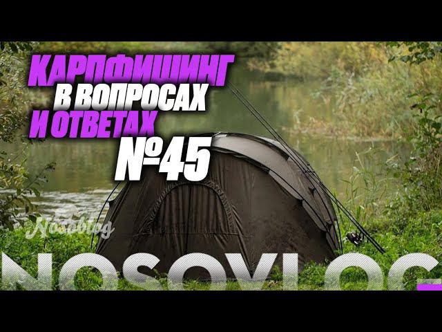 Карпфишинг в вопросах и ответах #45, Колесников А. смотреть онлайн