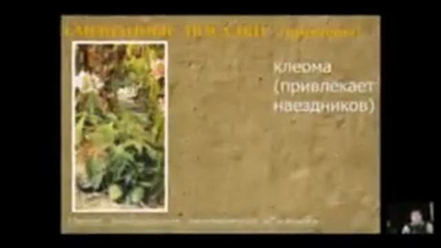 СмешанныеПосадки смотреть онлайн