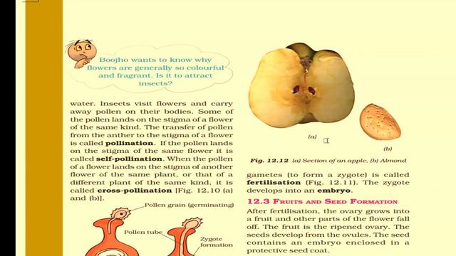 |Reproduction In Plants | CH #12 | Class 7 Science | NCERT | Line by line Explanation in Hindi |L-3 смотреть онлайн