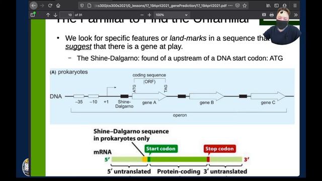 22 Gene Prediction Part 1