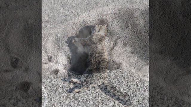 Стих Марины Бойковой "Вознаграждение". Читает Людмила Суханова. смотреть онлайн