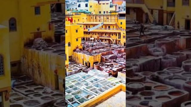 ЦВЕТ В АРХИТЕКТУРЕ. КРОВЬ ИЗ ГЛАЗ! смотреть онлайн