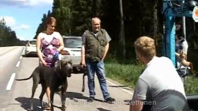 Kaivuri-Jukka 10062010.wmv смотреть онлайн