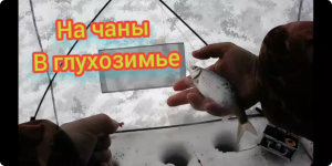 Рыбалка на озере чаны!! Окунь и чебак на мормышку...