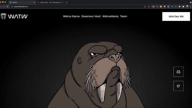 How To Connect A Phantom Wallet To Magic Eden, And Buy An NFT!