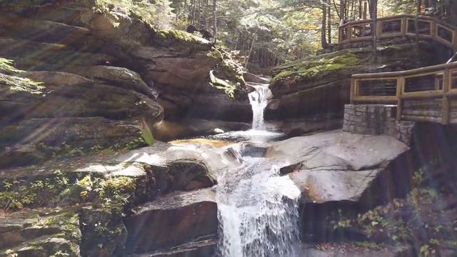 Экхарт Толле. Стремление к богатству смотреть онлайн