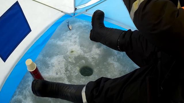 ПЛОТВА ВЕСНОЙ, КАНДРЫ-КУЛЬ, 31.03.19 смотреть онлайн