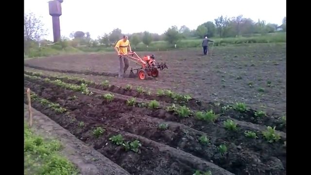 окучивание картофеля 2014. мотоблок, дисковый окучник. смотреть онлайн