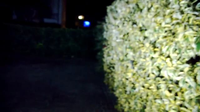 P21W Osram 80W LED смотреть онлайн
