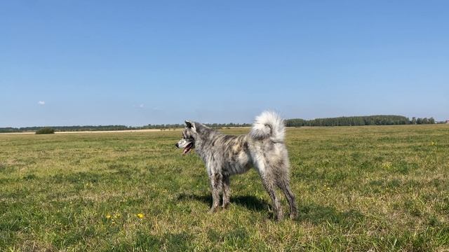 Новости с полей смотреть онлайн