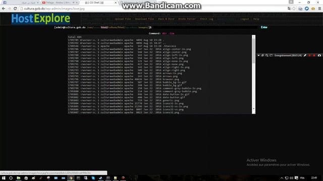 bypass strong server with perl shell смотреть онлайн