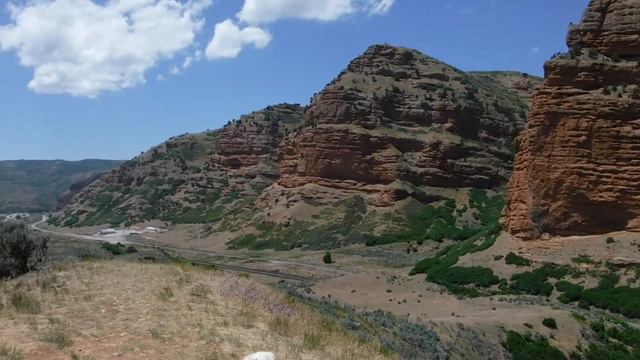 Путешествие с собакой по Америке