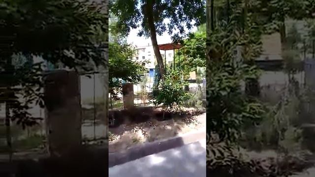 Ташкент Массив Куйлюк - 4 дом 37А смотреть онлайн