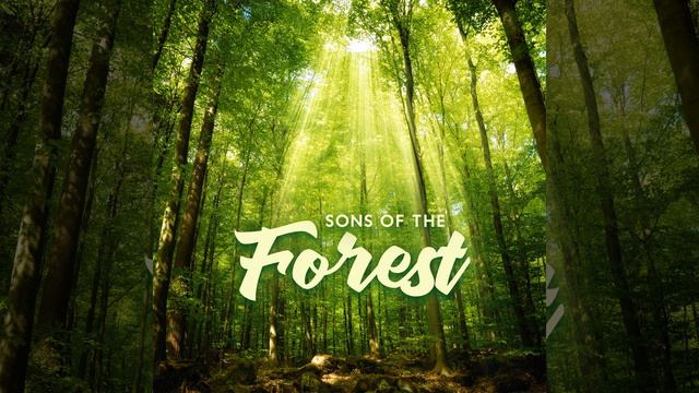 Sons Of The Forest смотреть онлайн