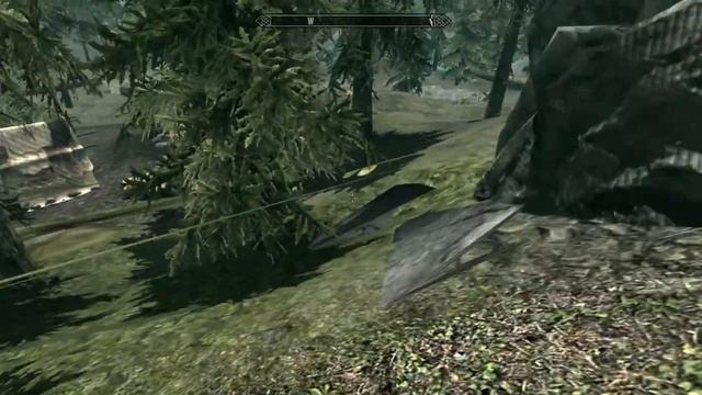 Страшный баг с графикой в Скайриме смотреть онлайн