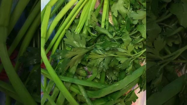 Бизнес-Советы и Инструкции