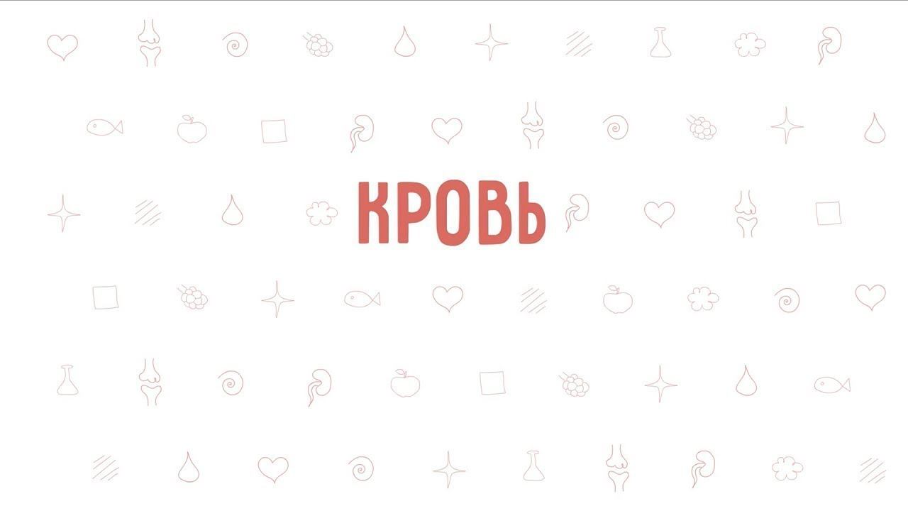 8. Кровь . Окружающий мир - 3 класс смотреть онлайн