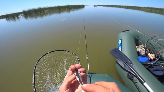 ТОННЫ СУДАКА В ОДНОЙ ЯМЕ! Что здесь вообще ТВОРИТСЯ?! Рыбалка с ЛОДКИ в диких местах! смотреть онлайн