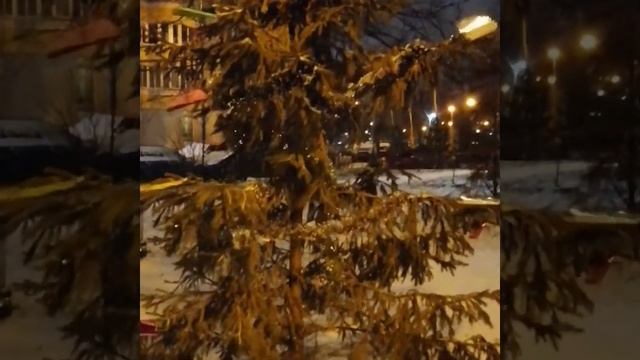Первый снег в Москве 30 декабря 2019. Подарок природы к Новому 2020 году)) смотреть онлайн