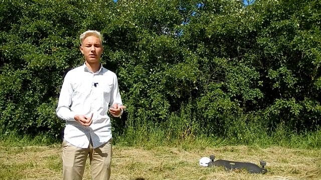 ЭЛЕКТРОСКЕЙТ-ВСЯ ПРАВДА [Плюсы и Минусы] / Бюджетный электроскейт / Электроскейт с Алиэкспресс смотреть онлайн