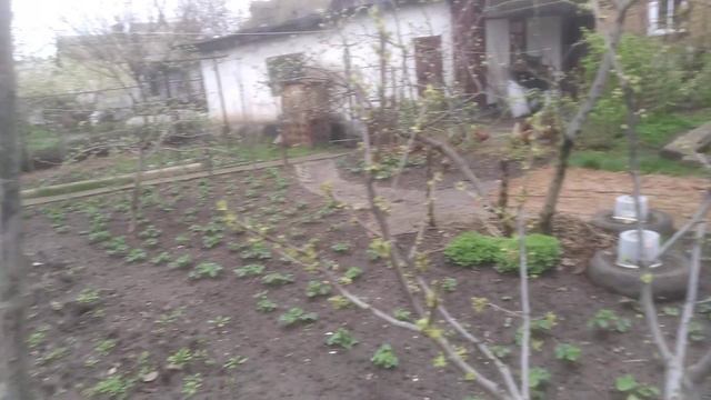 Каждый День идут ДОЖДИ/РАБОТА СТОИТ смотреть онлайн