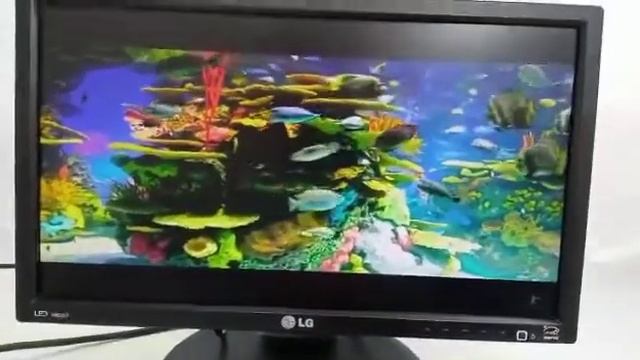 TESTE DE FUNCIONAMENTO MONITOR LG FLATRON 19EB13P Z267 смотреть онлайн