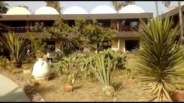 Территория отеля "HOTE PARADIS PALACE 4" в Тунисе, г.Хаммамет смотреть онлайн