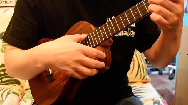 NEW/Uma Ukulele UK-04C Concert@ukuleleshoptantan