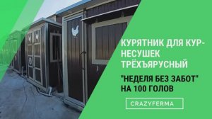 АВТОМАТИЗИРОВАННЫЙ КУРЯТНИК НОВОГО ПОКОЛЕНИЯ на 100 голов кур-несушек!