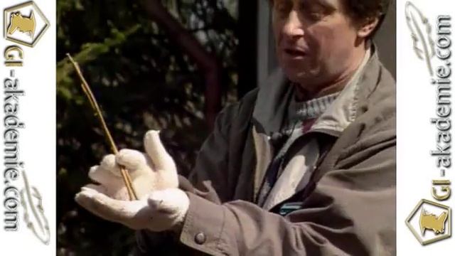 Декоративные кустарники -- 3 смотреть онлайн