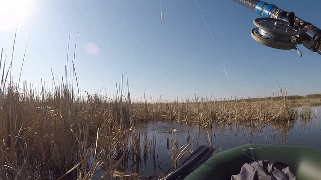 НАКОНЕЦ-ТО ОТКРЫЛ ЛЕТНИЙ СЕЗОН 2020!!! ЛОВИМ СИНЕГЛАЗОВСКИХ КАРАСЕЙ!!! смотреть онлайн