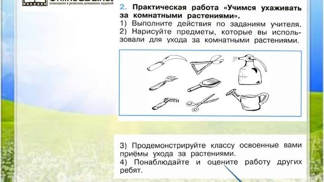Задание 2 Как живут растения? - Окружающий мир 1 класс (Плешаков А.А.) 1 часть смотреть онлайн