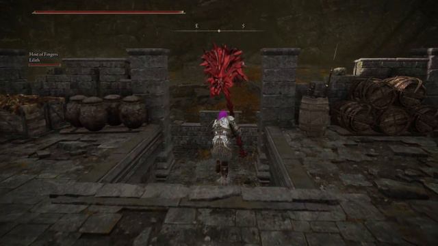 Elden Ring - Co-op randomizer [часть 39] в поисках лута смотреть онлайн