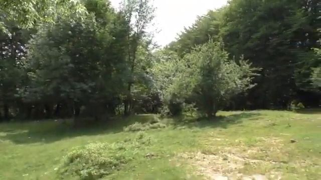 Нальчик. Кому принадлежала дача N2 в Белой речке. Обзор увиденного. смотреть онлайн