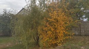 Часы носить нельзя ..Приметы про часы. Народные приметы и поверья
