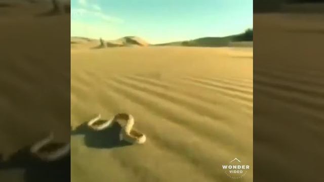 Стихотворение " Путь" смотреть онлайн
