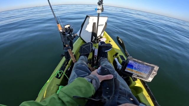 Jumbo Fall porgies while trying to find keeper blackfish in the western sound смотреть онлайн