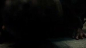 Перестрелка на заводе (х/ф Охота на пиранью)