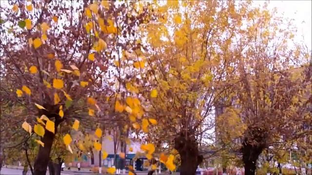 Autumn leaves in Belorussia смотреть онлайн