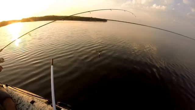 Рыбалка в лимане.Поехали за щукой а наловили окуня!!! смотреть онлайн